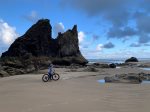 The beach at Whaletopia